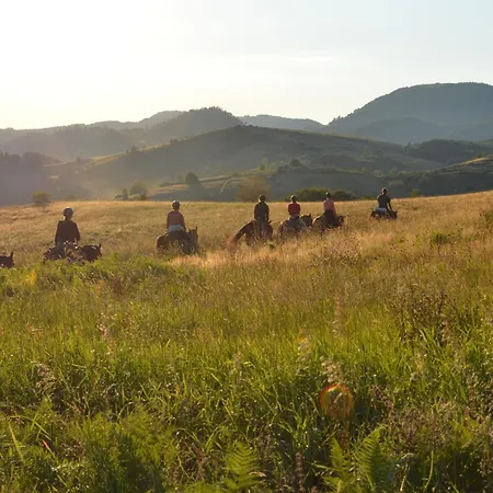 Luxuszelt Dome Tent Povlen *