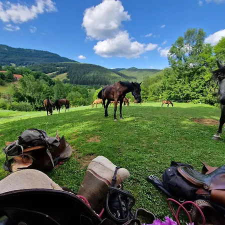 Dome Tent Povlen Taor