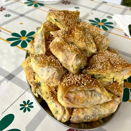 Dome Tent Povlen Taor